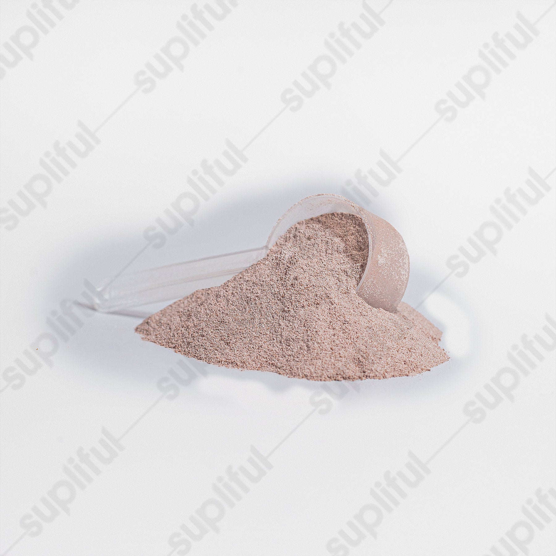 Offensively Blessed 🌺Plant Protein (Vanilla)