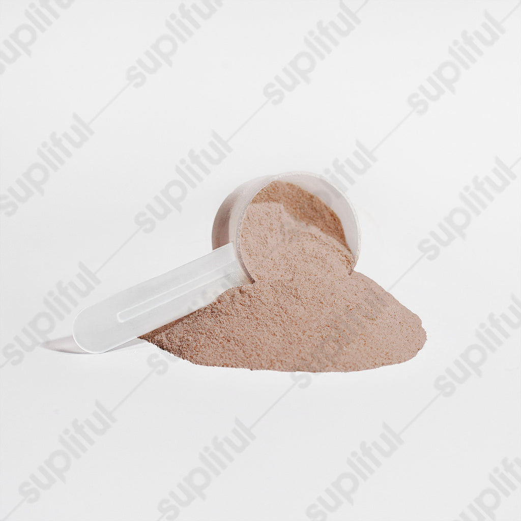 Offensively Blessed Plant Protein (Chocolate)