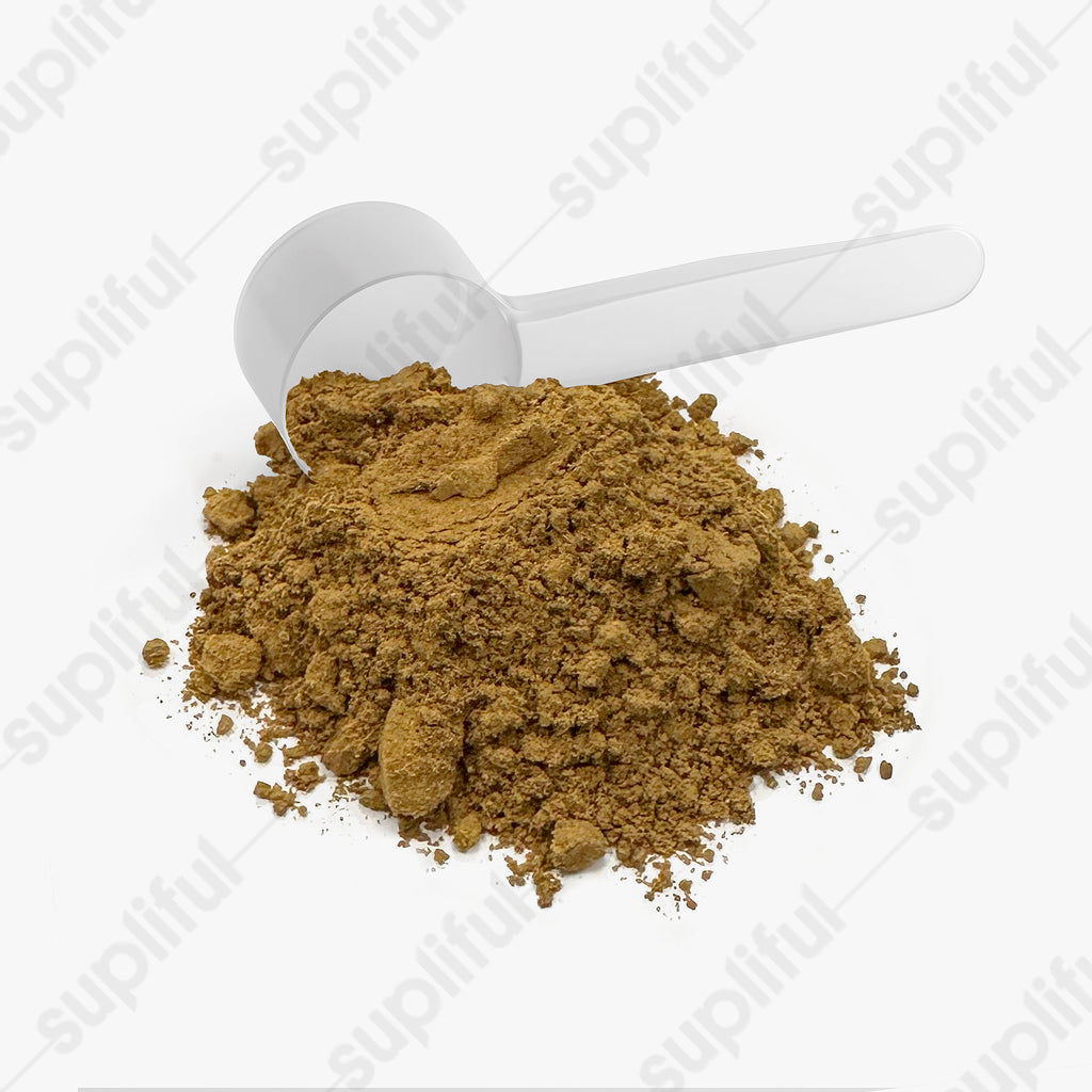 Offensively Blessed 🌺Mushroom Fuse Instant Coffee (Medium Roast)