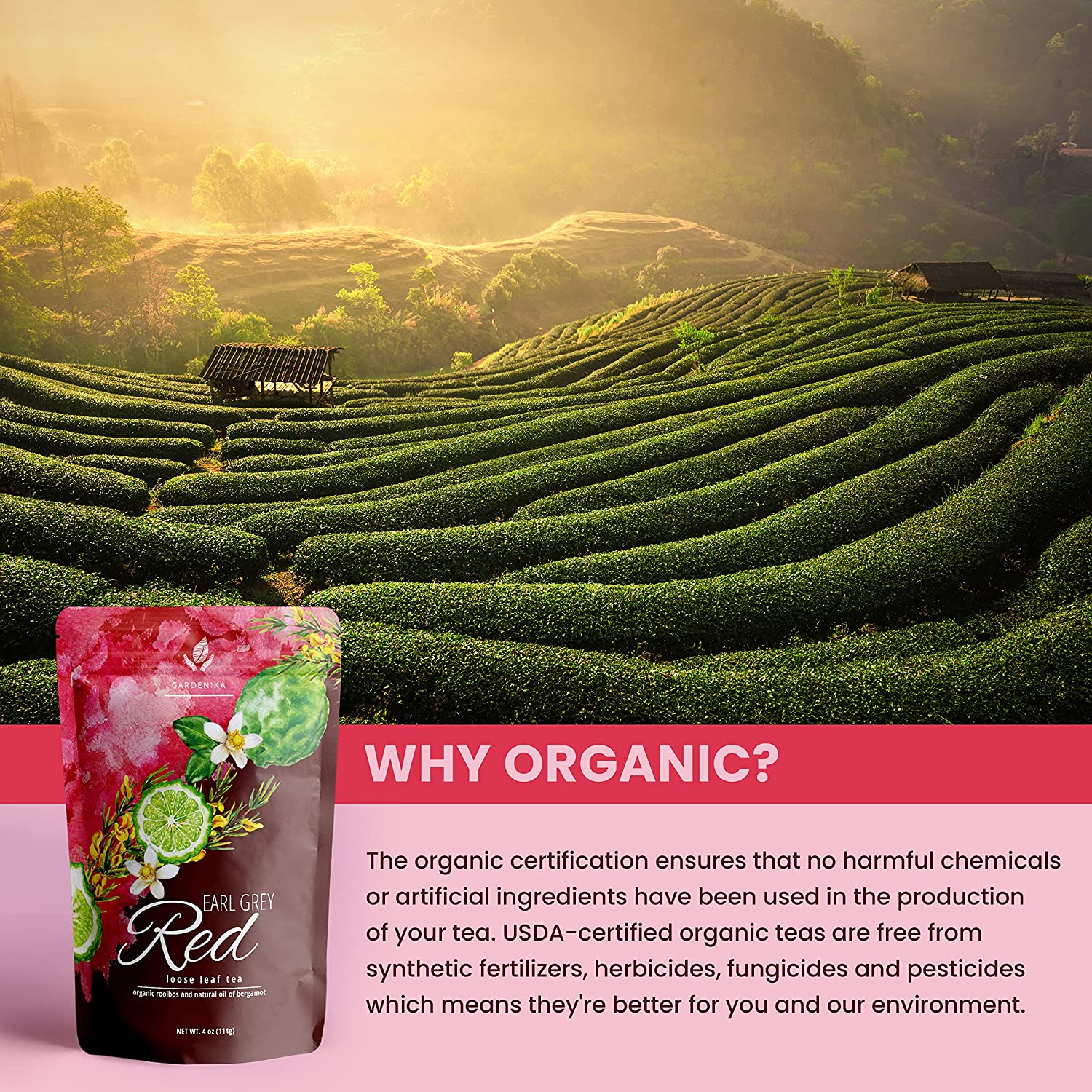 Bergamot Red Rooibos Loose Tea, Antioxidant Rich /w Bergamot Oil - Herbal & Caffeine-Free - Soothing & Comforting - Organic & Kosher