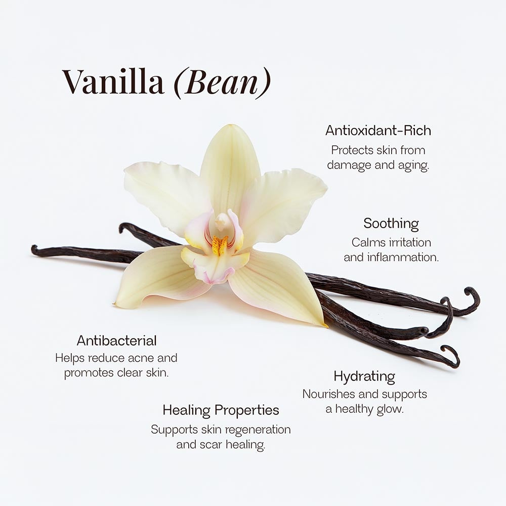 Offensively Blessed🌺Whipped Grass-Fed Tallow Balm with Vanilla Bean