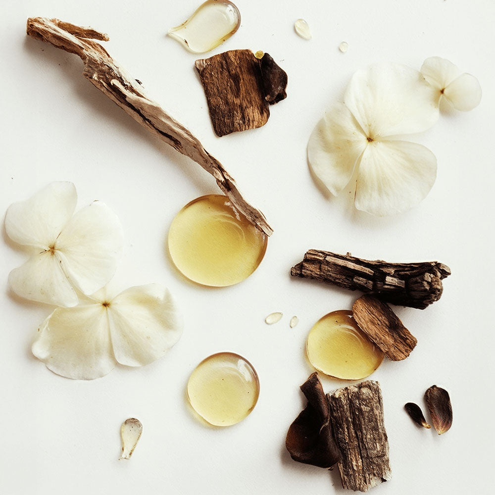 Offensively Blessed🌺Whipped Grass-Fed Tallow Balm with Vanilla Bean
