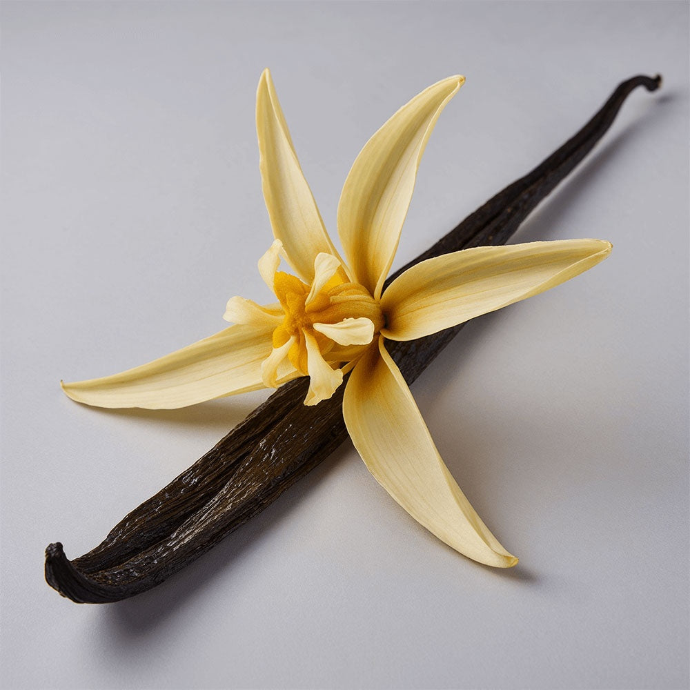 Offensively Blessed🌺Whipped Grass-Fed Tallow Balm with Vanilla Bean