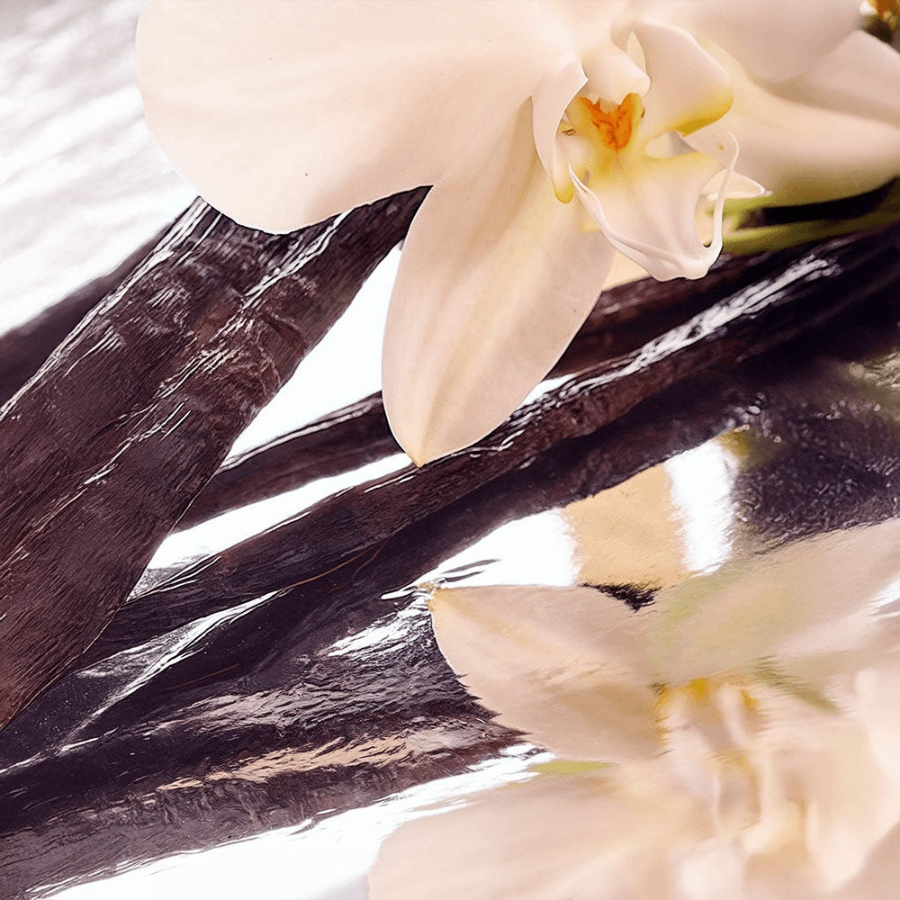 Offensively Blessed🌺Whipped Grass-Fed Tallow Balm with Vanilla Bean
