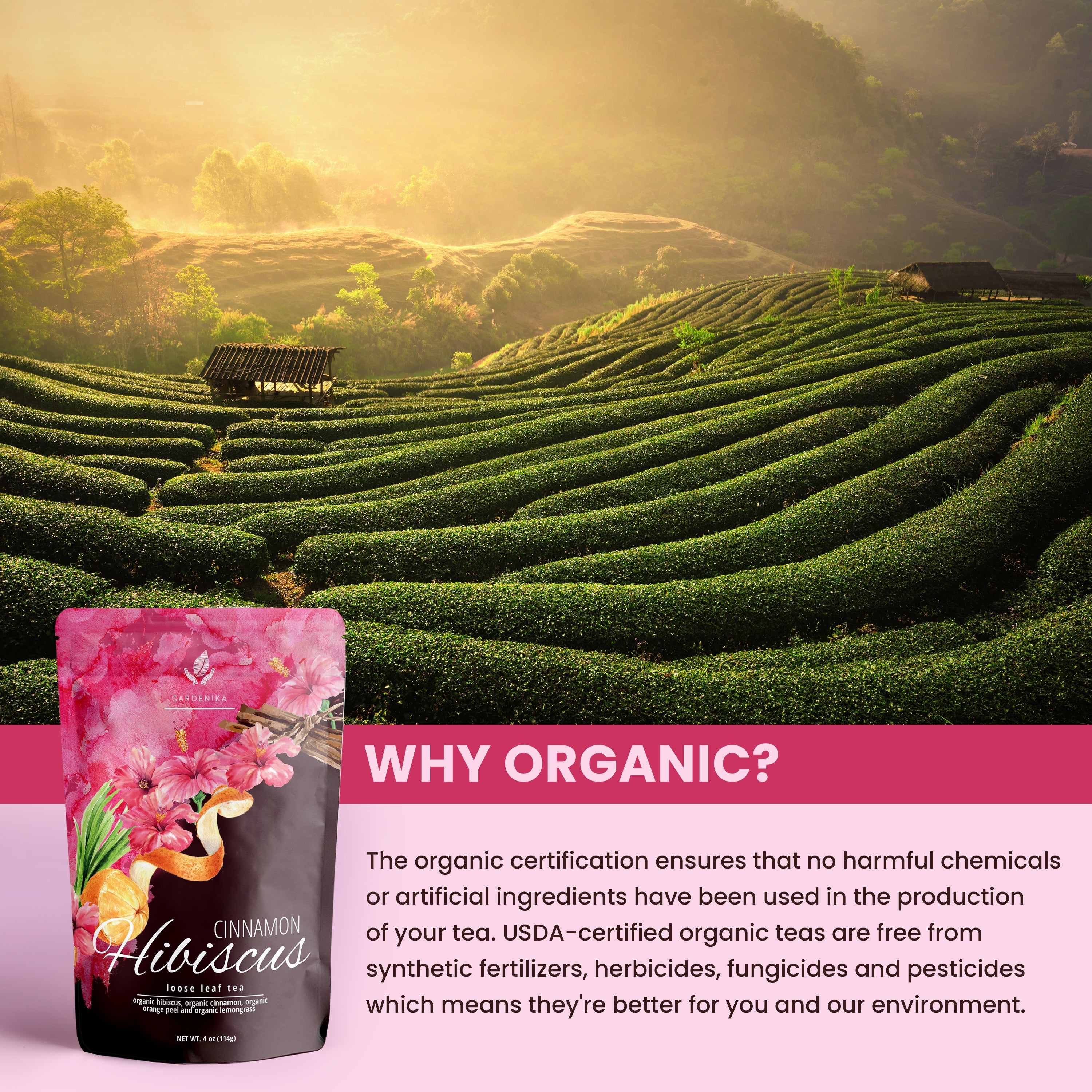 Cinnamon Hibiscus Loose Tea, Heart Health & Antioxidant Rich - /w Hibiscus & Cinnamon - Herbal & Caffeine Free - Organic & Kosher