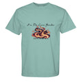 SEAFOAM - C1717 - FRONT